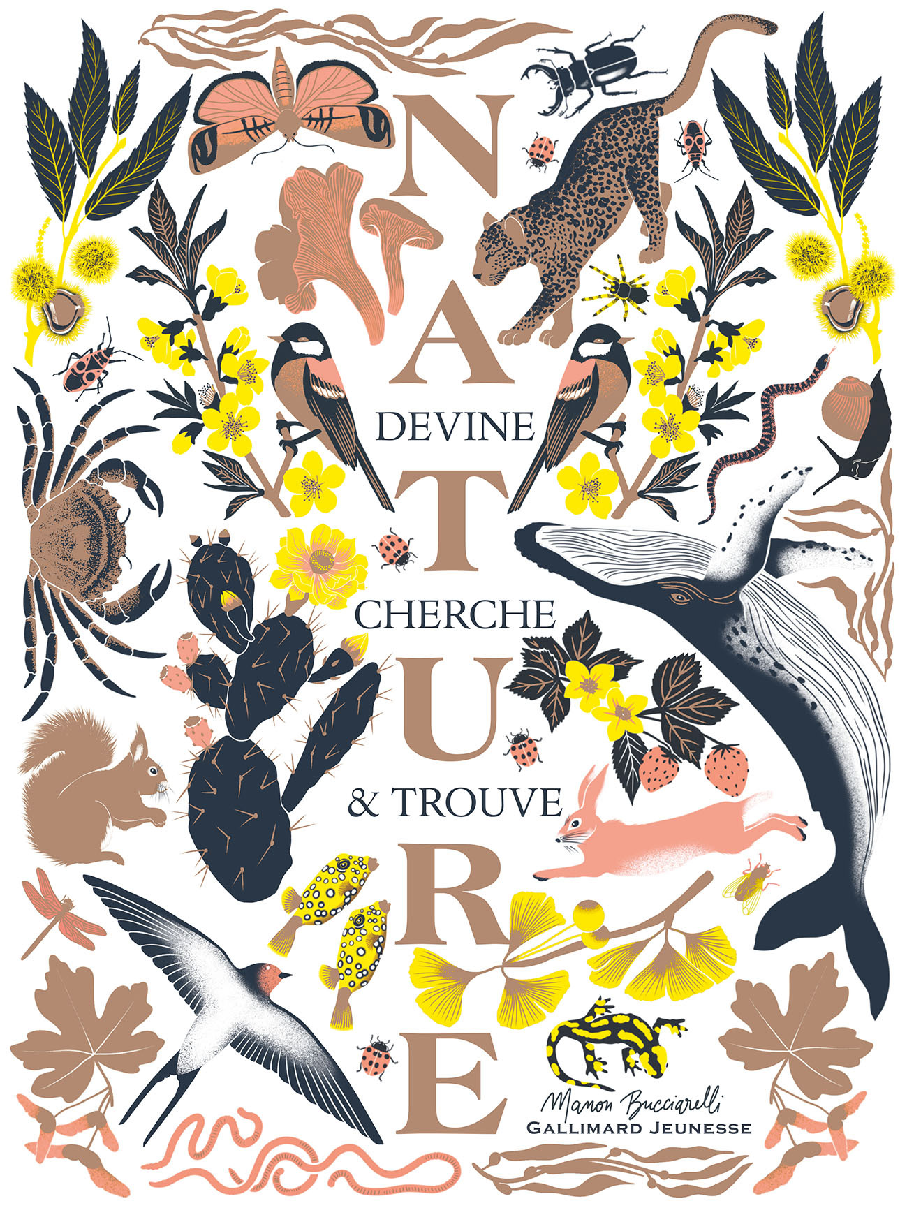 Devine Cherche et Trouve Nature - Bucciarelli Manon - GALLIMARD JEUNE