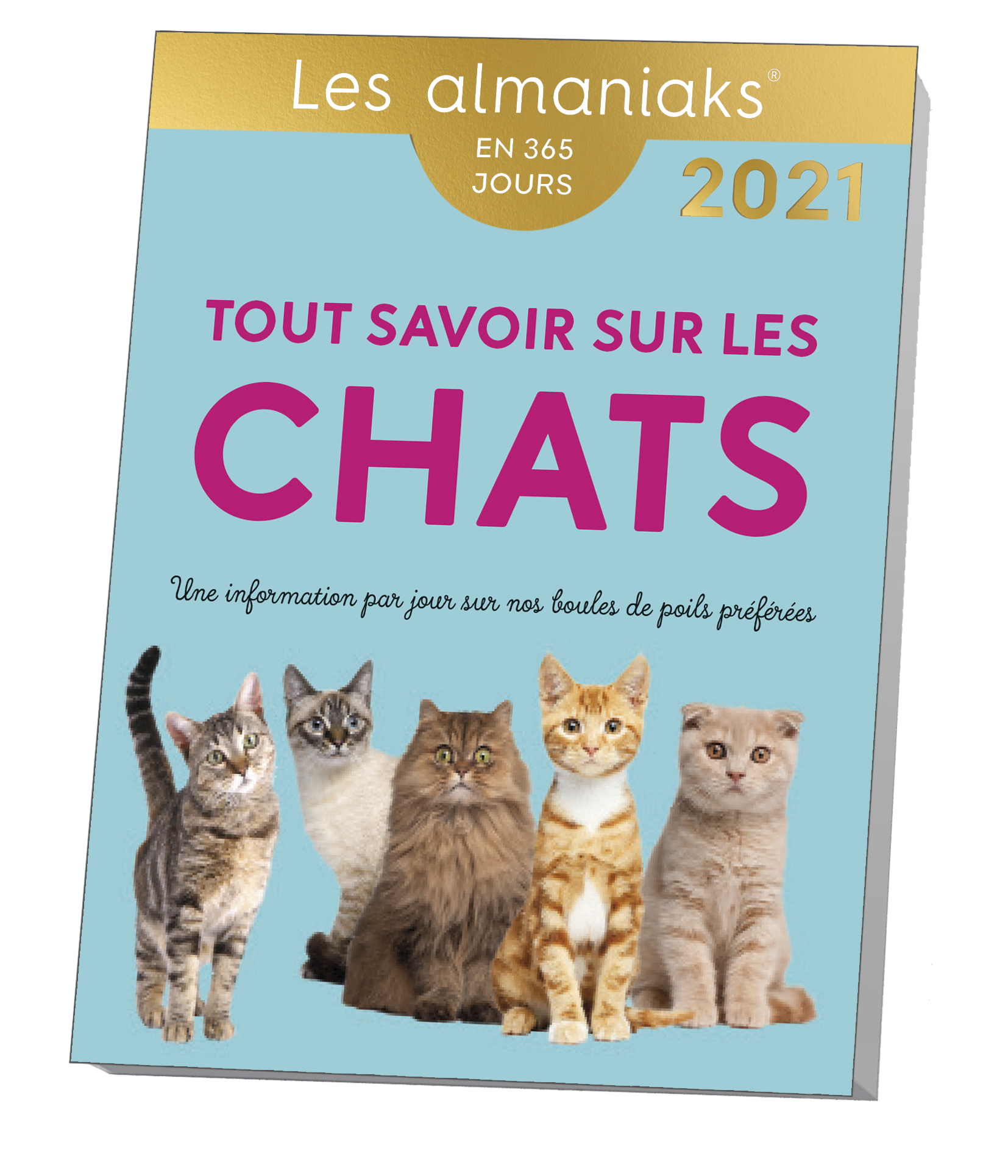 Almaniak Tout savoir sur les chats 2021 - Collin Isabelle - 365 PARIS