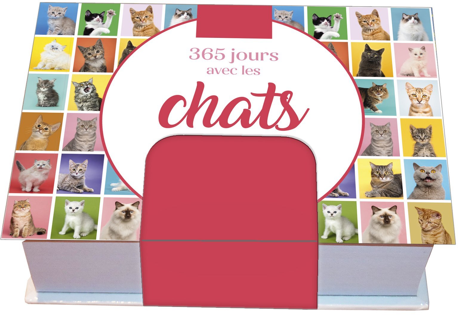 Minimaniak 365 jours avec les chats - mini calendrier - Editions 365 Editions 365 - 365 PARIS Minimaniak 365 jours avec les chats - mini calendrier - Editions 365 Editions 365 - 365 PARIS