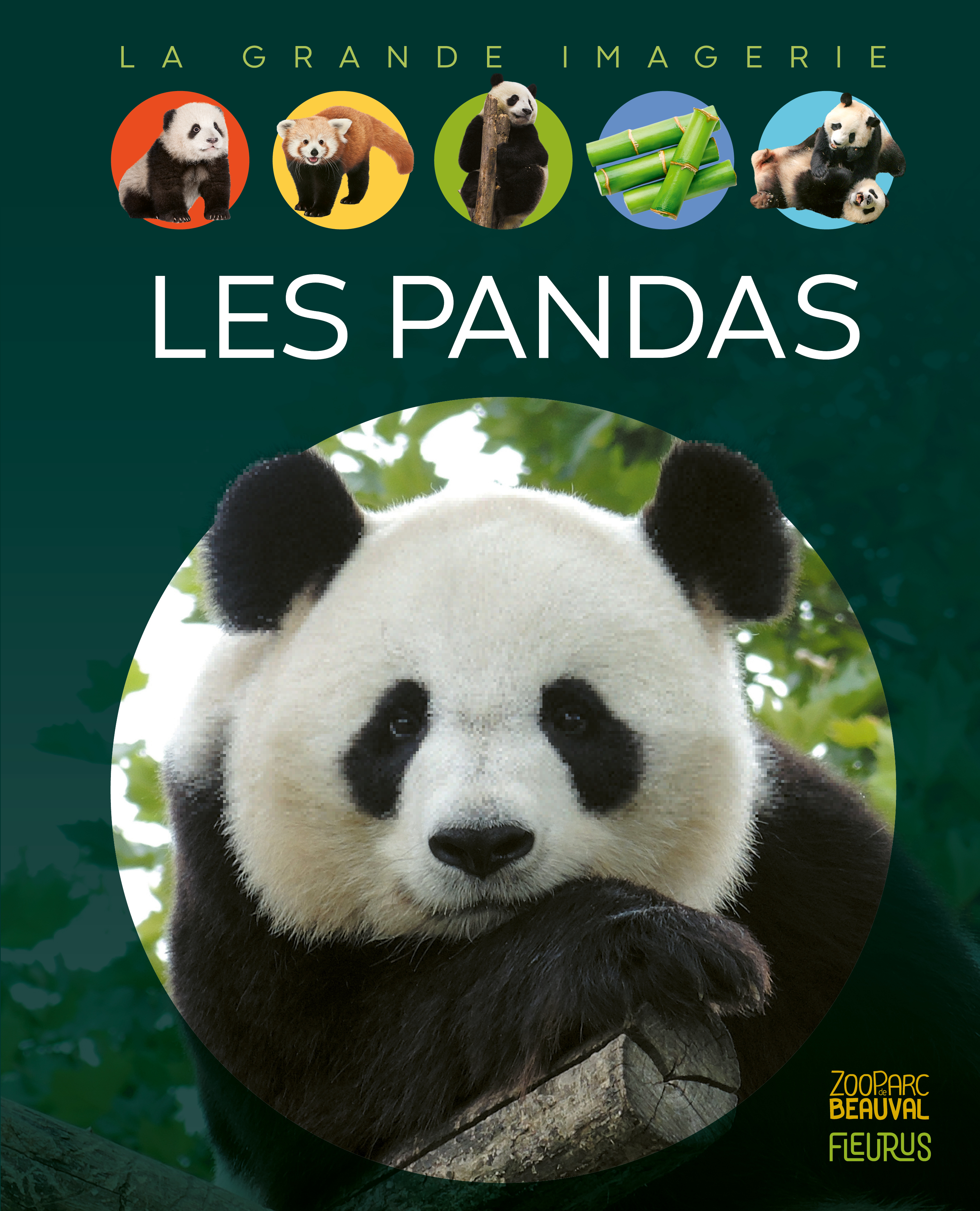 Les pandas - Redoulès Stéphanie - FLEURUS