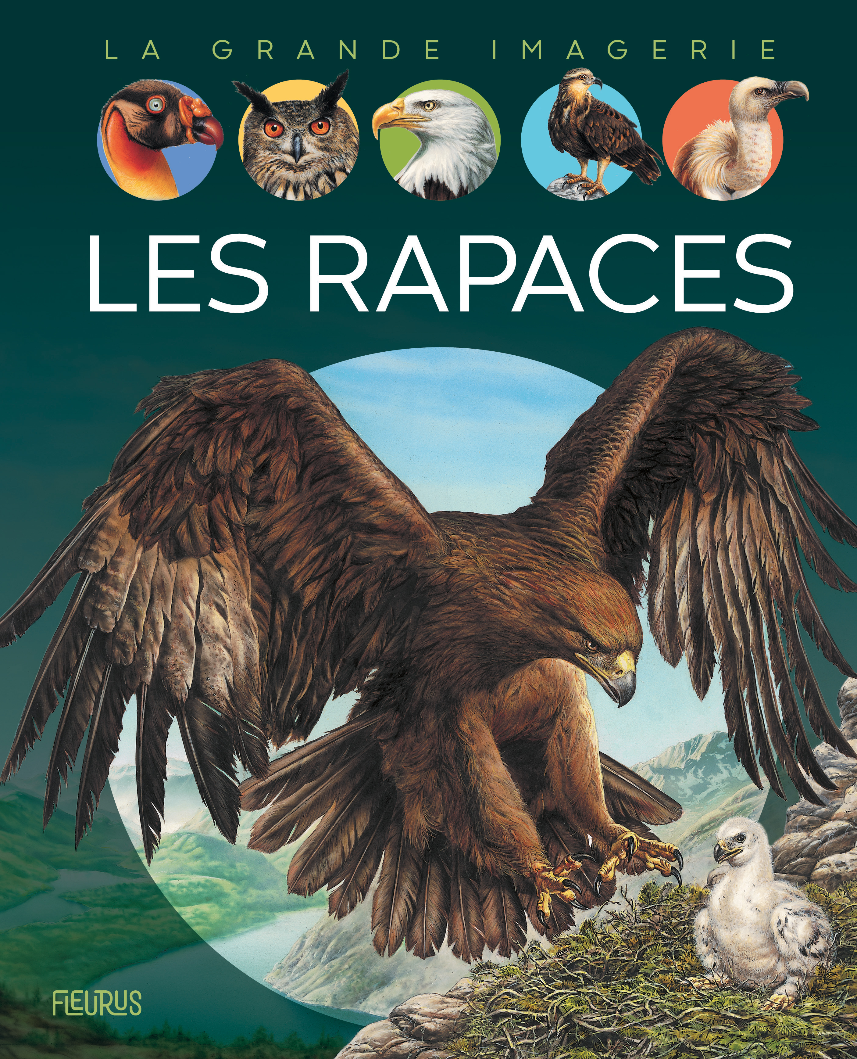 Les rapaces - Boccador Sabine - FLEURUS