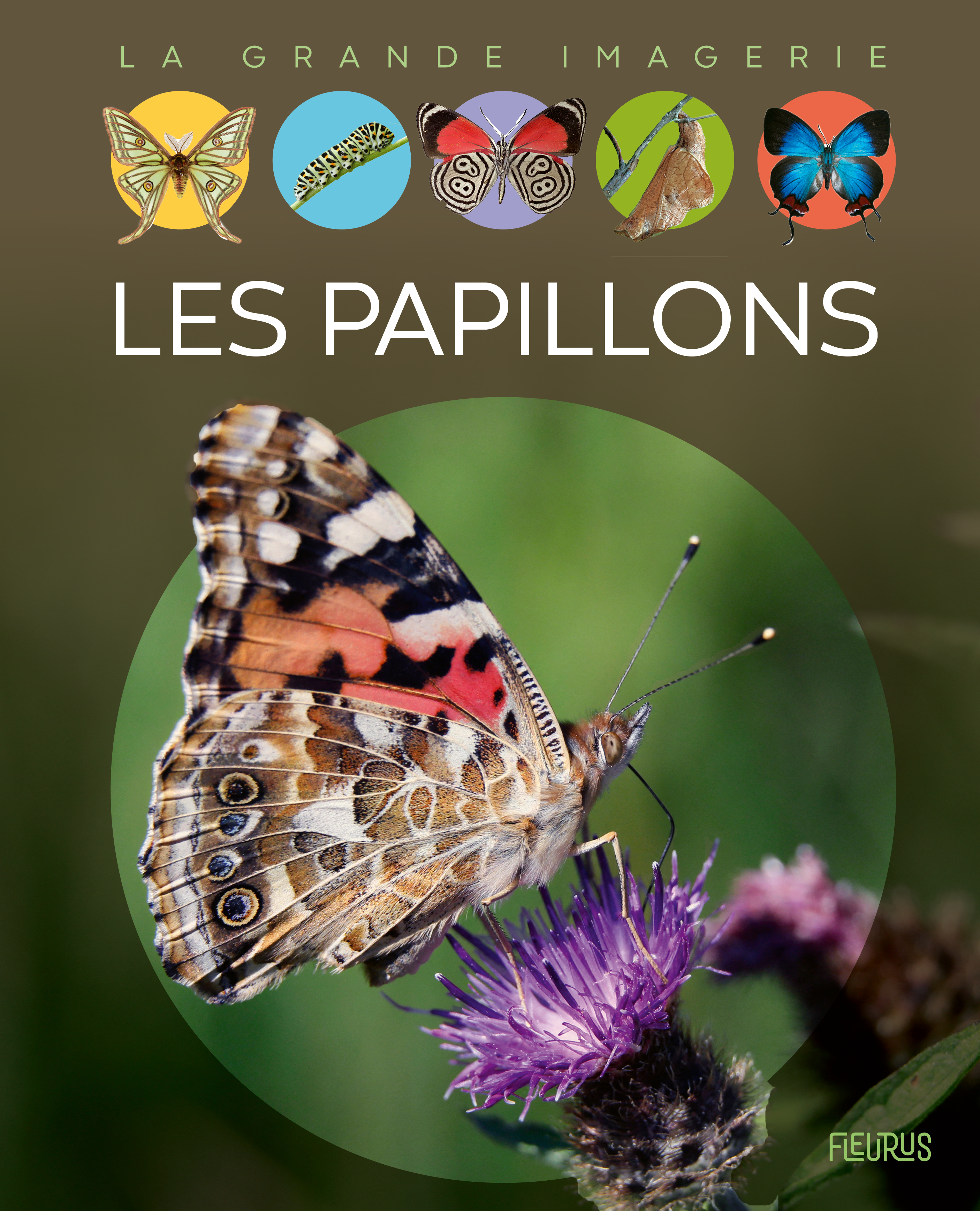 Les papillons - Franco Cathy - FLEURUS