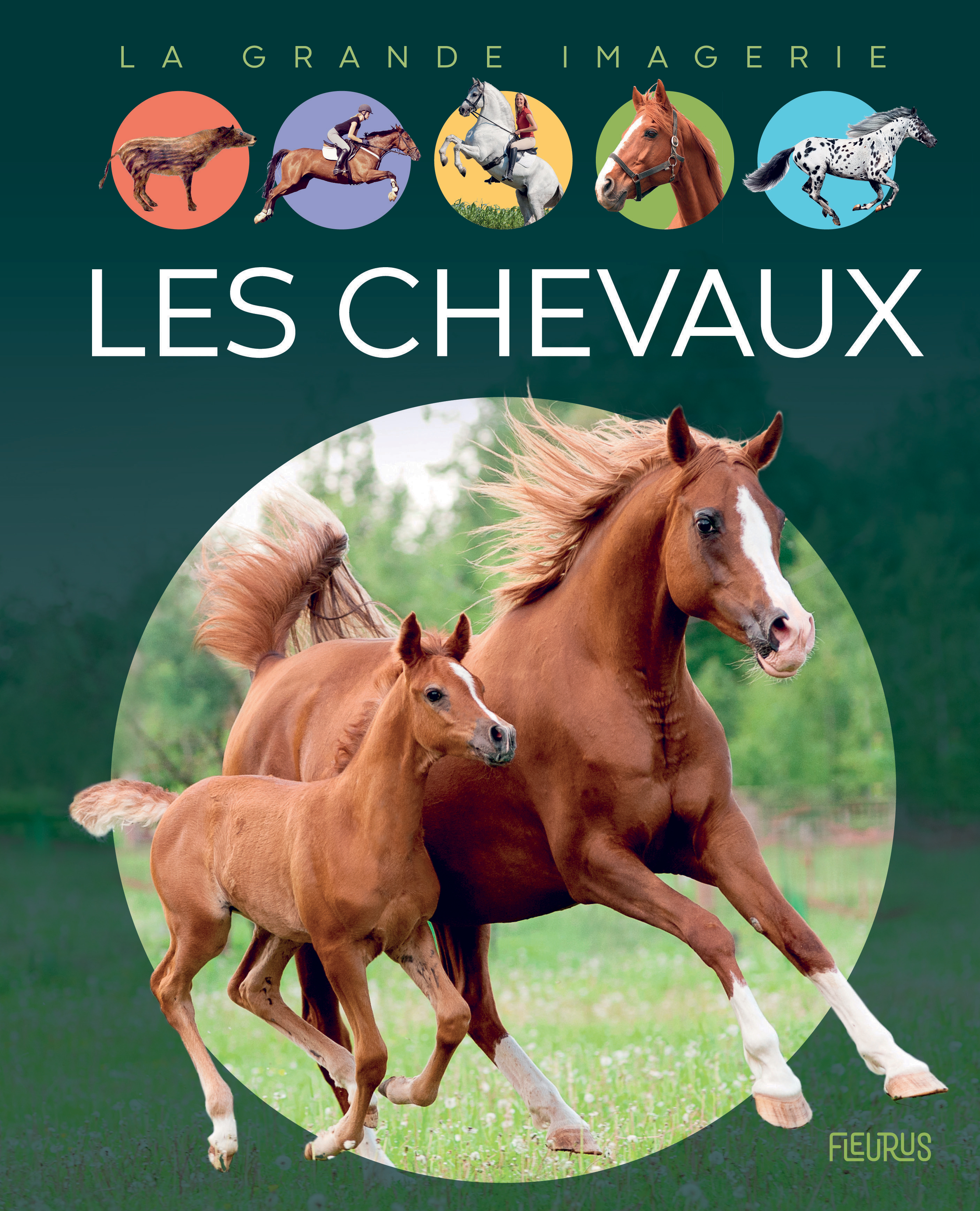 Les chevaux - Vandewiele Agnès - FLEURUS