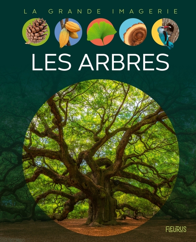 Les arbres - Figueras Emmanuelle - FLEURUS