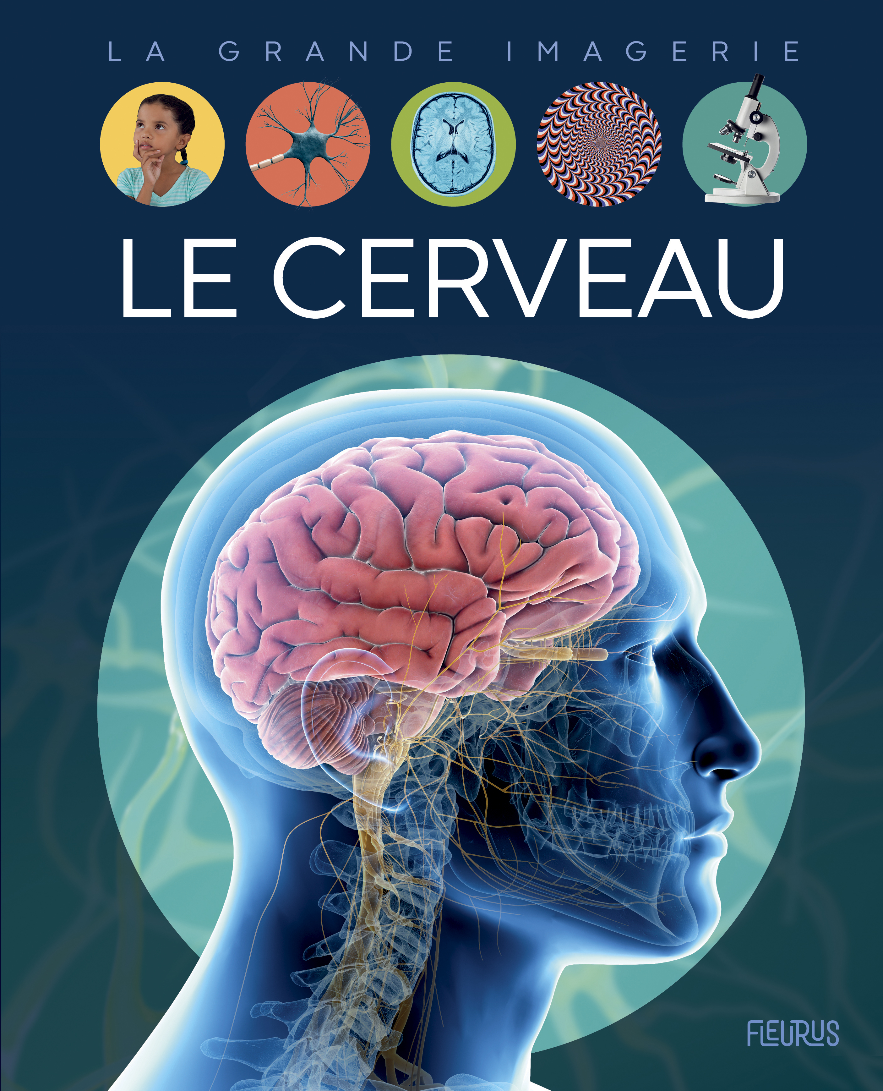 Le cerveau - Franco Cathy, Bussi Audrey - FLEURUS