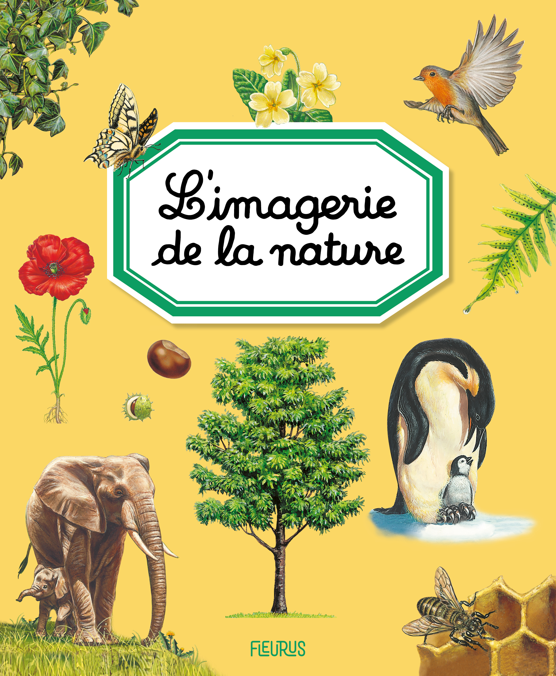 L'imagerie de la nature - Guilloret Marie-Renée, ALUNNI Bernard, Lemayeur Marie-Christine - FLEURUS