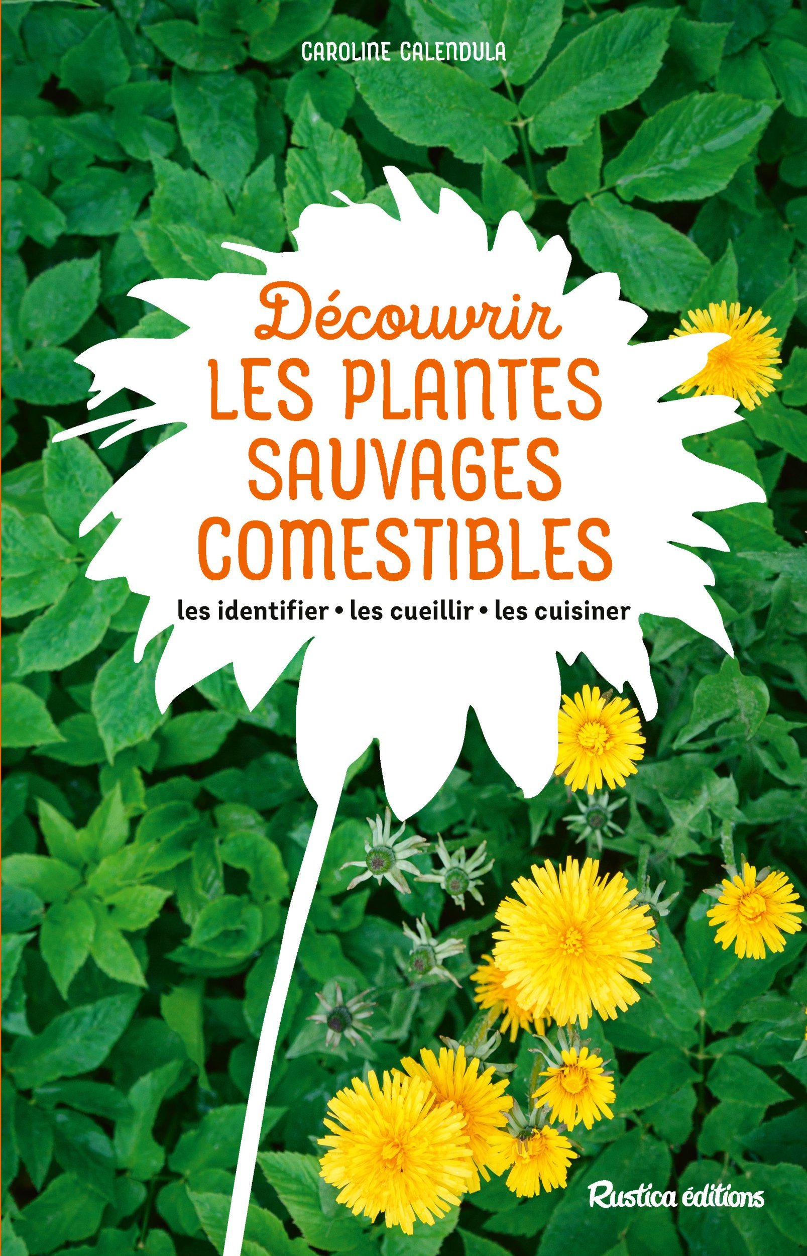 Découvrir les plantes sauvages comestibles - Calendula Caroline - RUSTICA