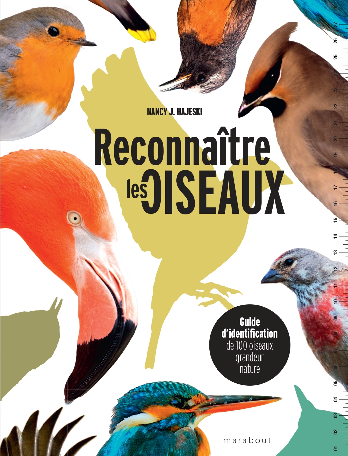 Reconnaître les oiseaux - Hajeski Nancy J. - MARABOUT Reconnaître les oiseaux - Hajeski Nancy J. - MARABOUT