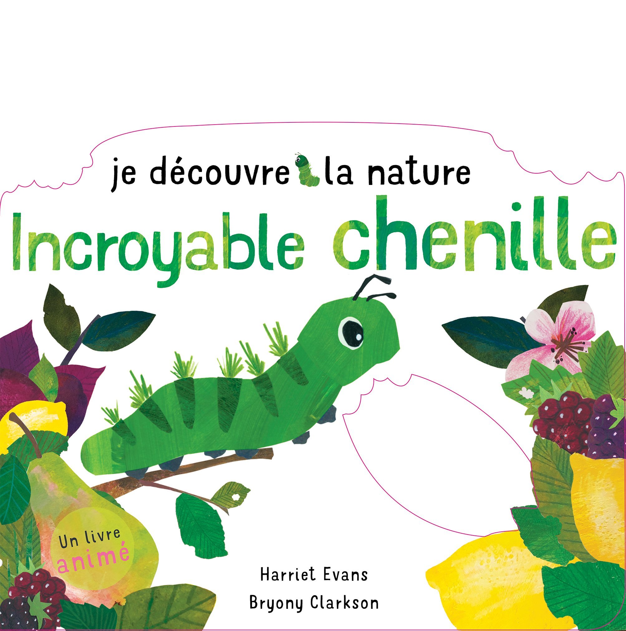 Je découvre la nature - Incroyable chenille - Evans Harriet, Clarckson Bryony - TIGRE ET CIE