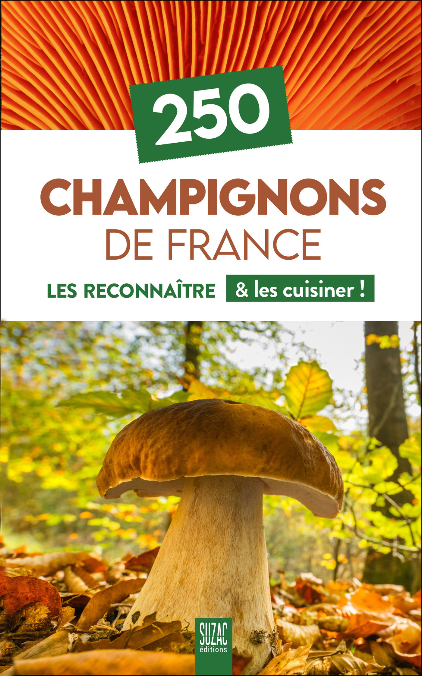 250 Champignons de France - Les reconnaître & les cuisiner ! - Collectif  - SUZAC