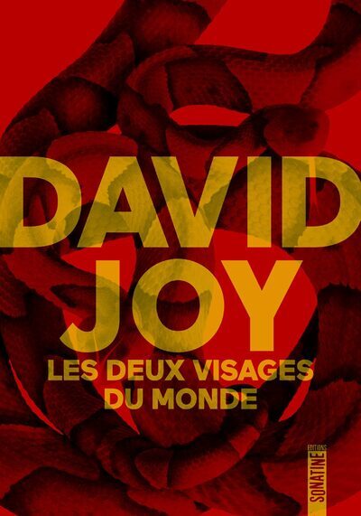 Les Deux Visages du monde - Joy David, Cotté Jean-Yves - SONATINE