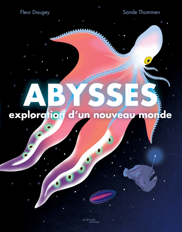 ABYSSES : EXPLORATION D'UN NOUVEAU MONDE - DAUGEY FLEUR - ACTES SUD