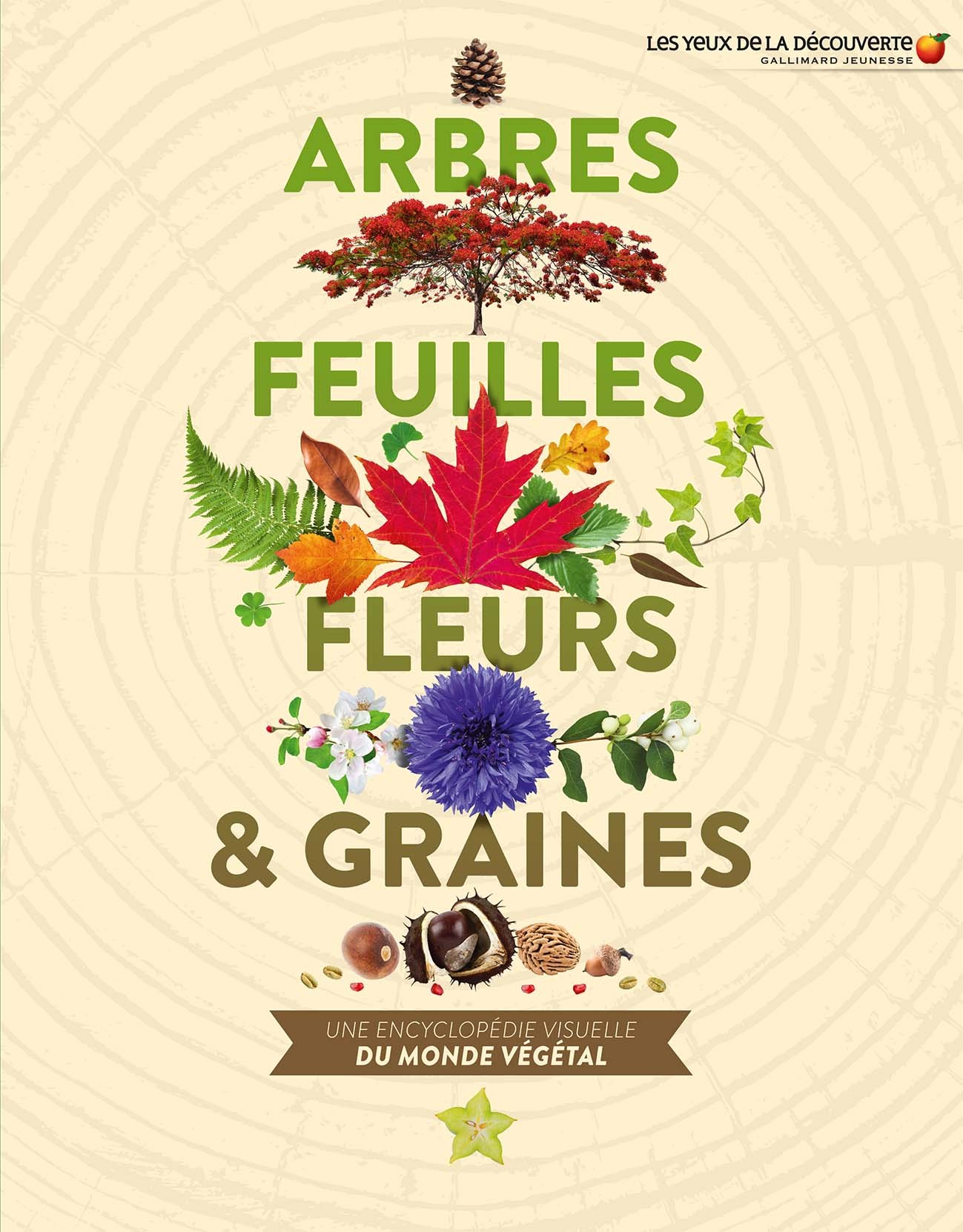 Arbres, feuilles, fleurs et graines - Jose Sarah, Porlier Bruno - GALLIMARD JEUNE