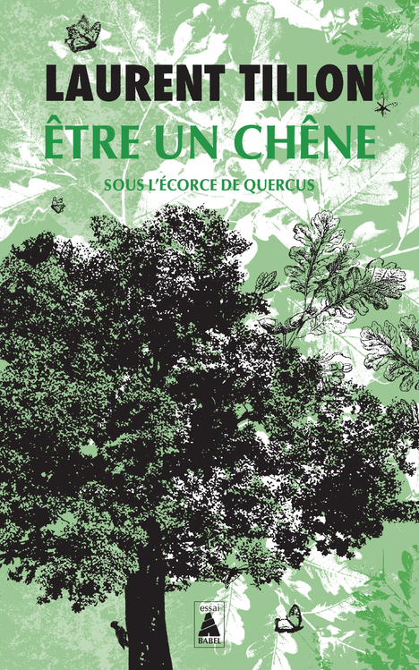 Être un chêne - Tillon Laurent - ACTES SUD