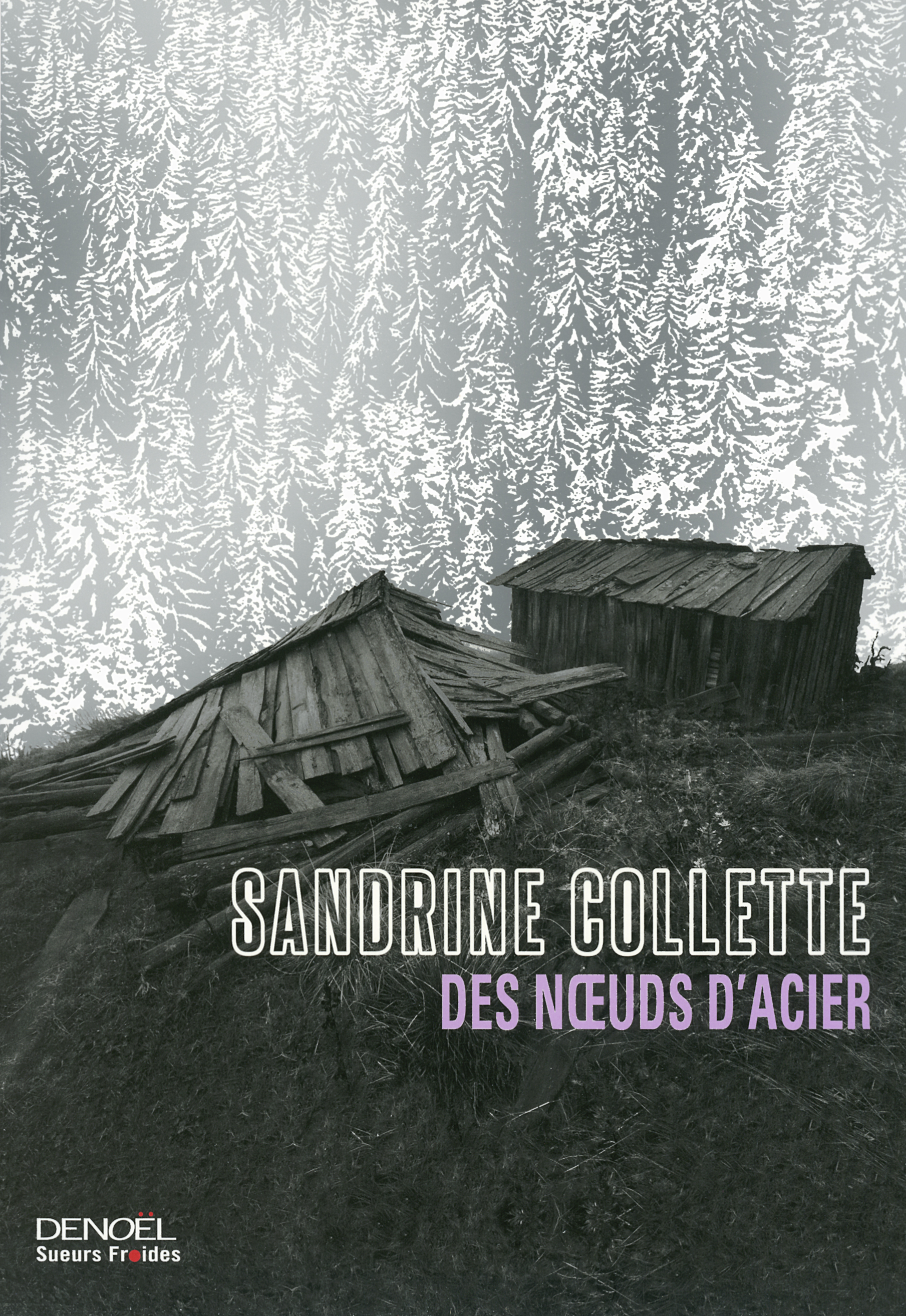 Des noeuds d'acier - Collette Sandrine - DENOEL