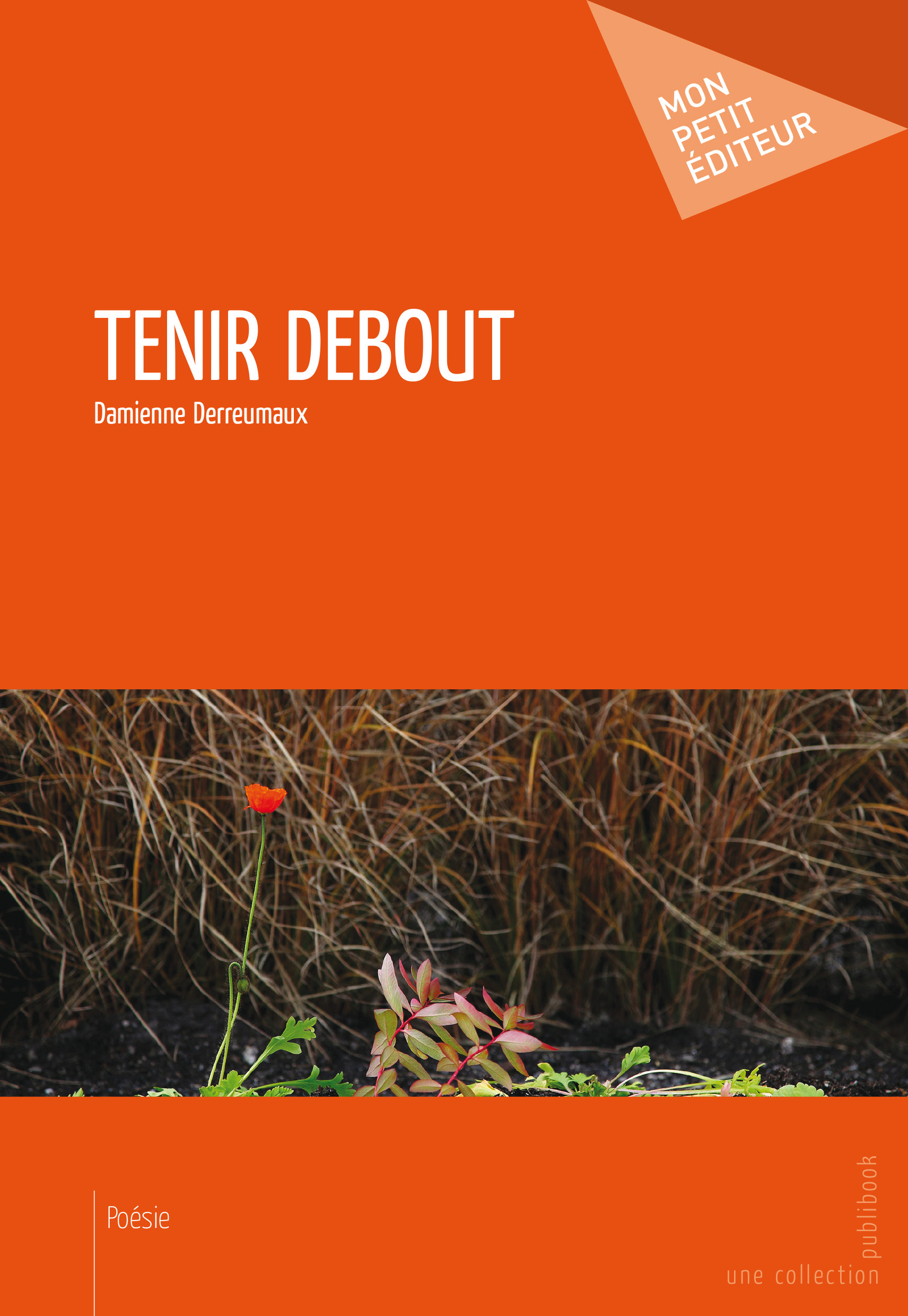 TENIR DEBOUT - DERREUMAUX DAMIENNE  - PUBLIBOOK