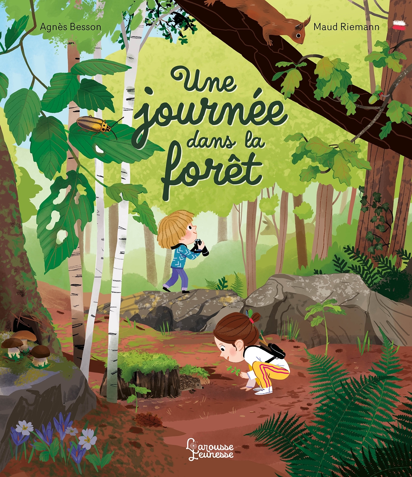 Une journée dans la forêt - Besson Agnès, Riemann Maud - LAROUSSE