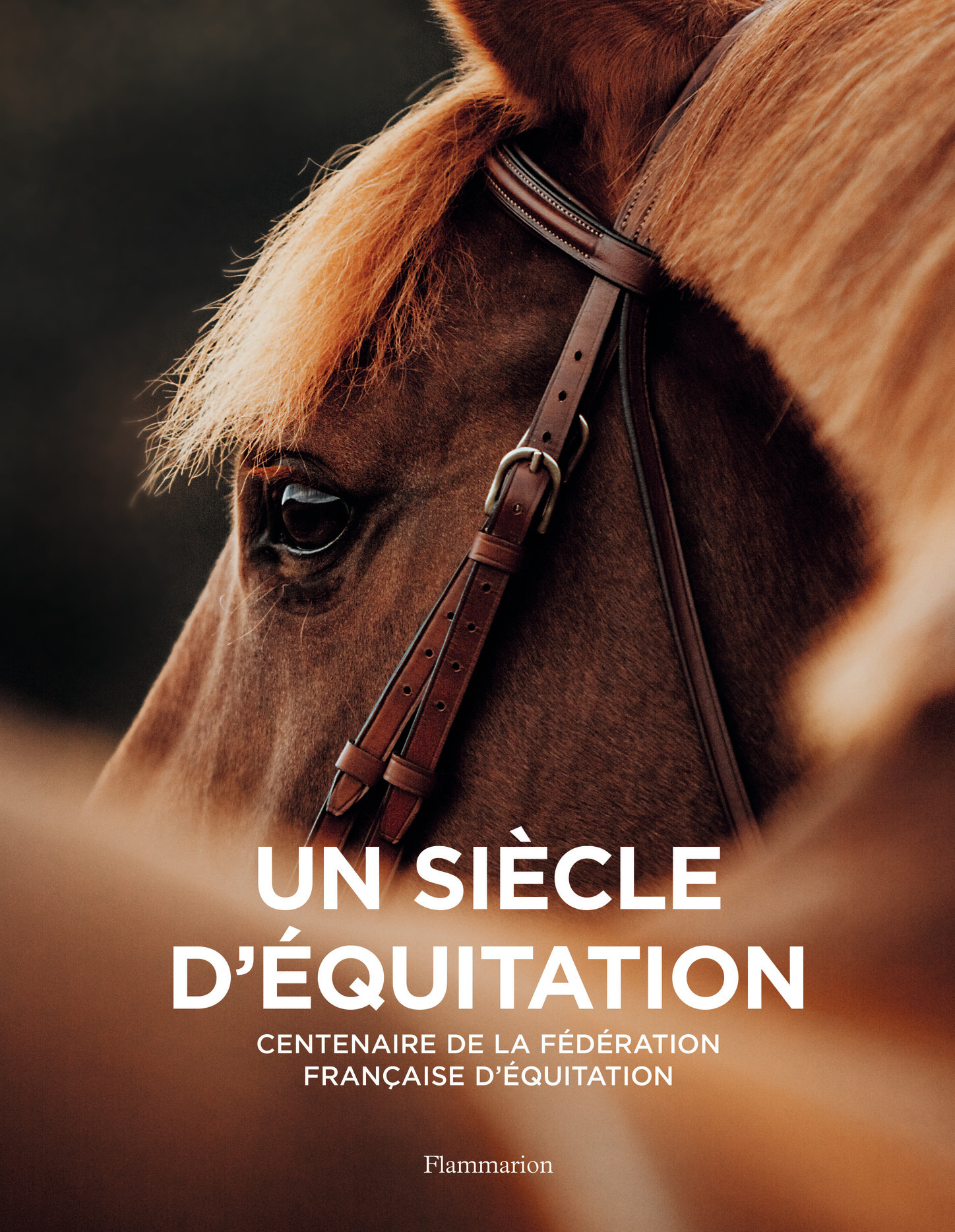 Un siècle d'équitation - Collectif  - FLAMMARION