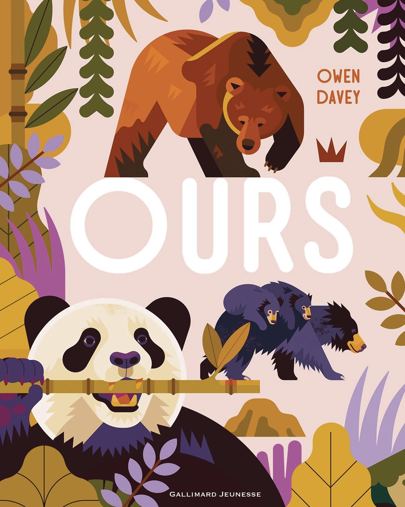 Ours - OWEN DAVEY , Davey Owen, Viennot Bérengère - GALLIMARD JEUNE