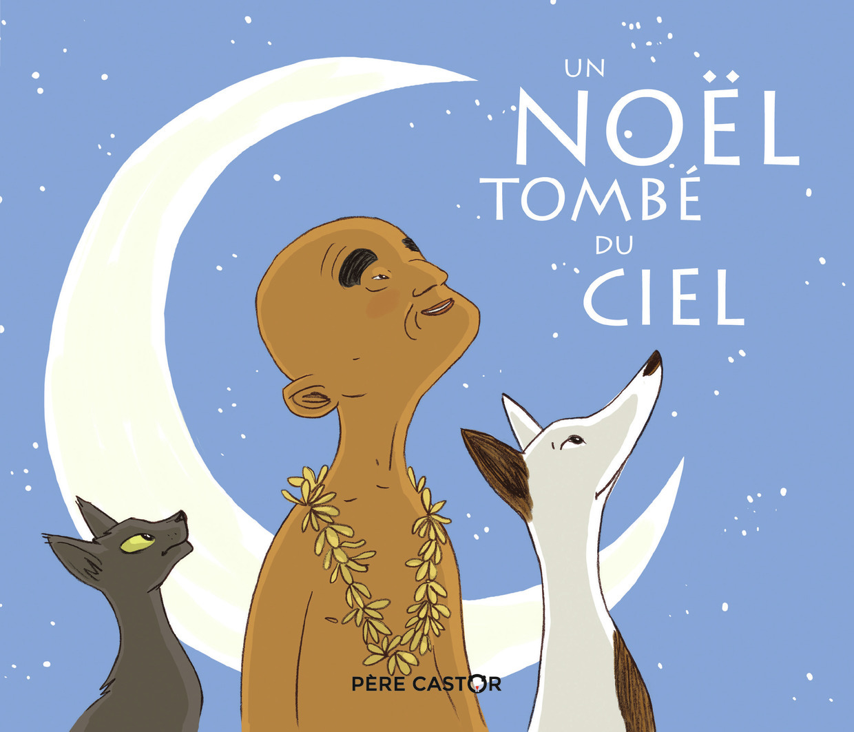 Un Noël tombé du ciel - Bertron-Martin Agnès, Abolivier Aurélie - PERE CASTOR