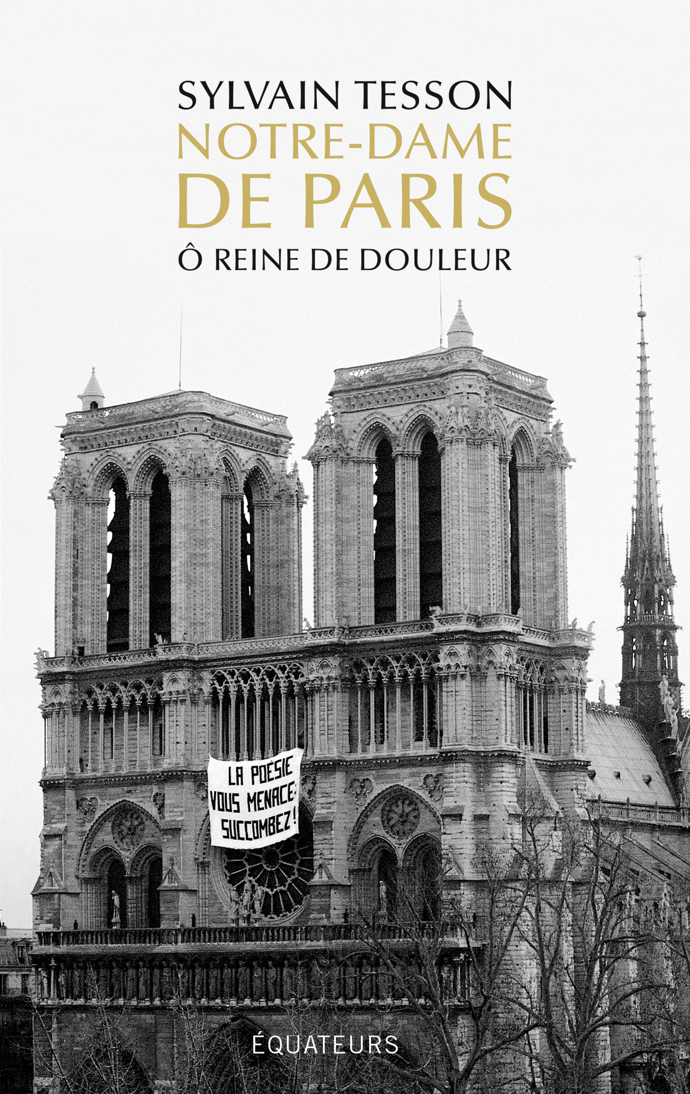 Notre-Dame de Paris - Tesson Sylvain - DES EQUATEURS