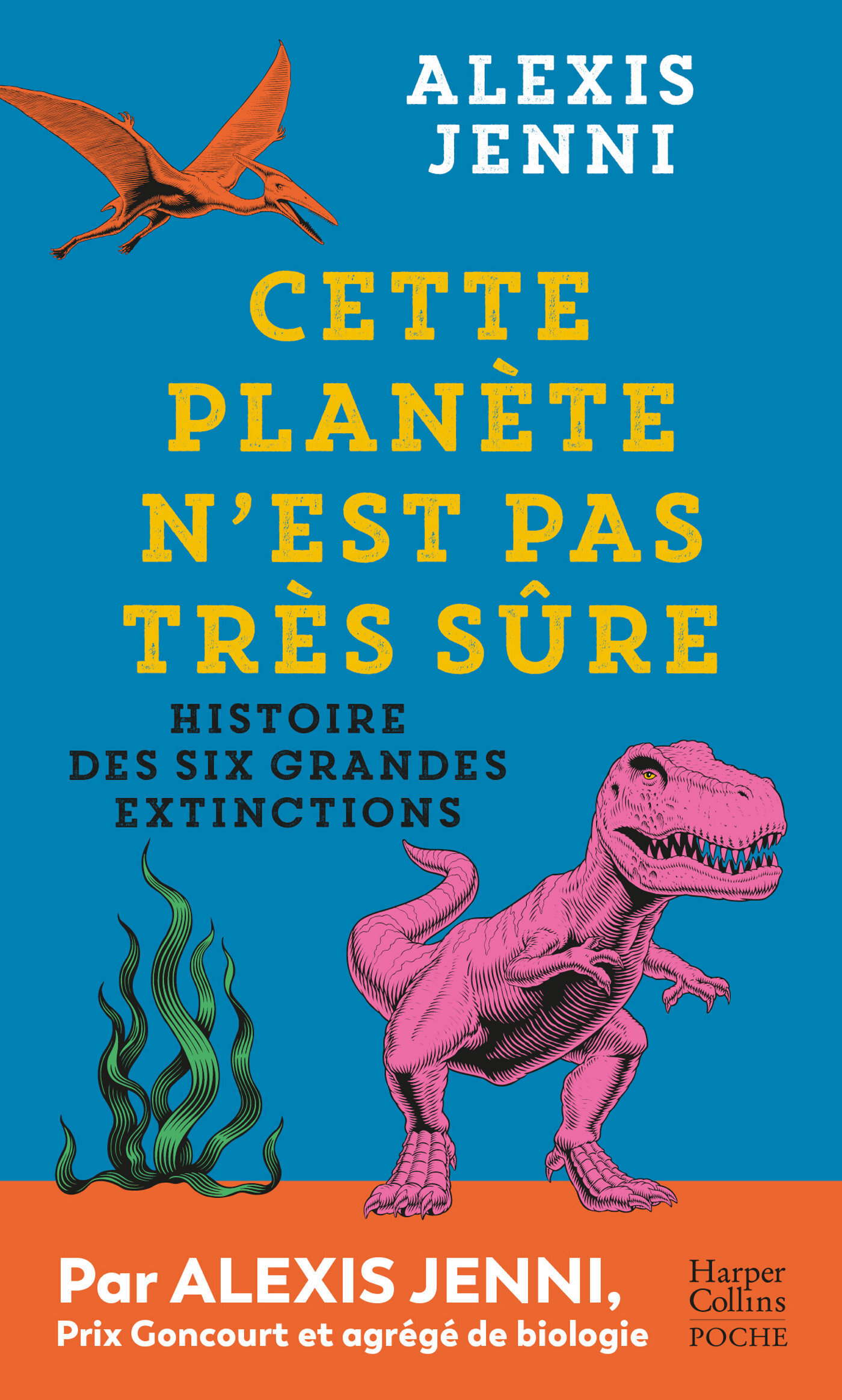 Cette planète n'est pas très sûre - Alexis Jenni - HARPERCOLLINS Cette planète n'est pas très sûre - Alexis Jenni - HARPERCOLLINS