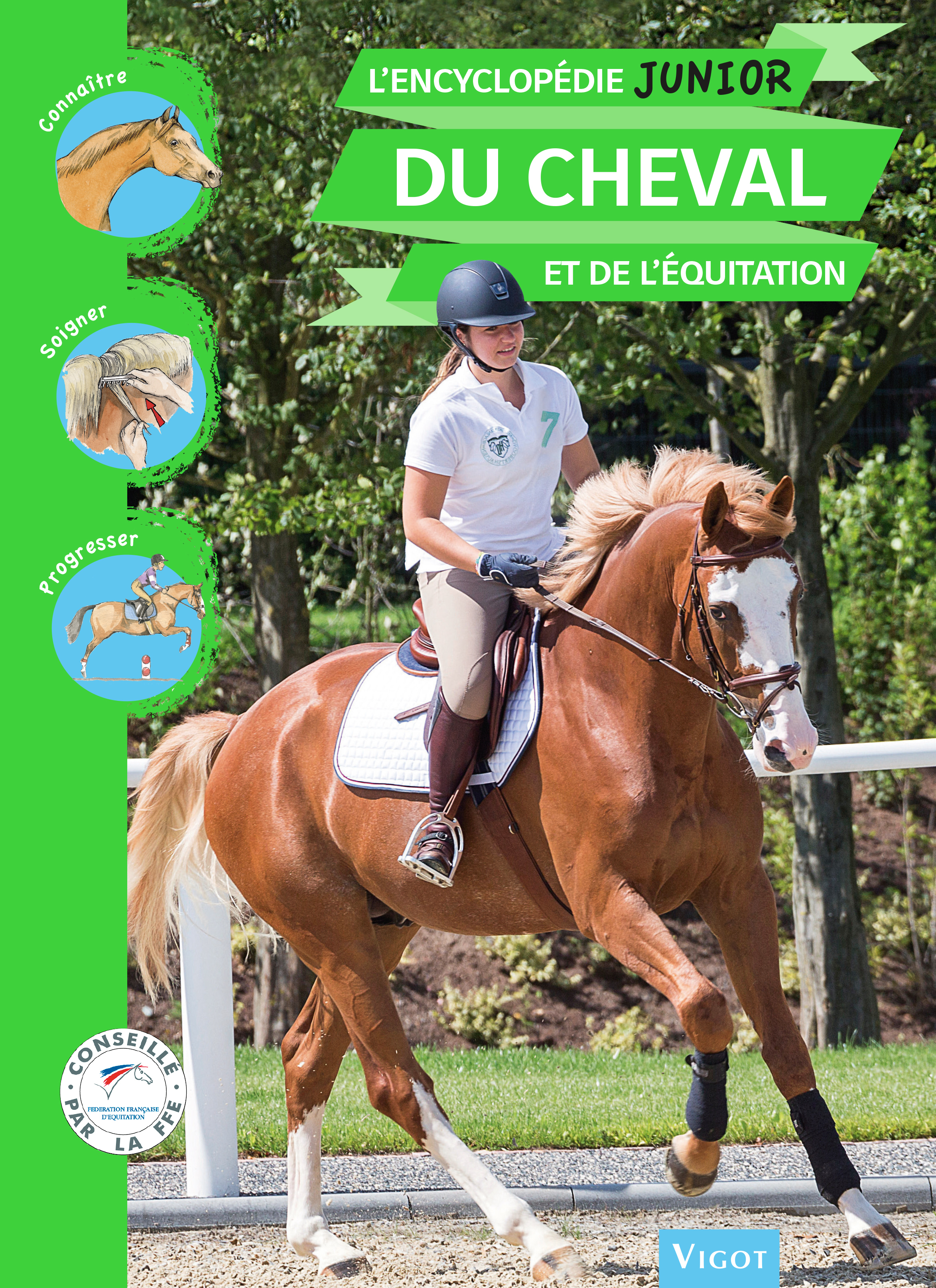 L'Encyclopédie junior du cheval et de l'équitation - Guillaume Henry - VIGOT