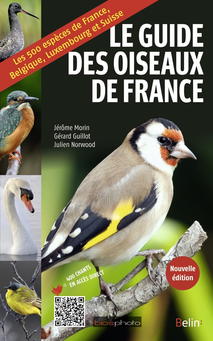 Guide des oiseaux de France - Gérard Guillot, Julien Norwood - BELIN