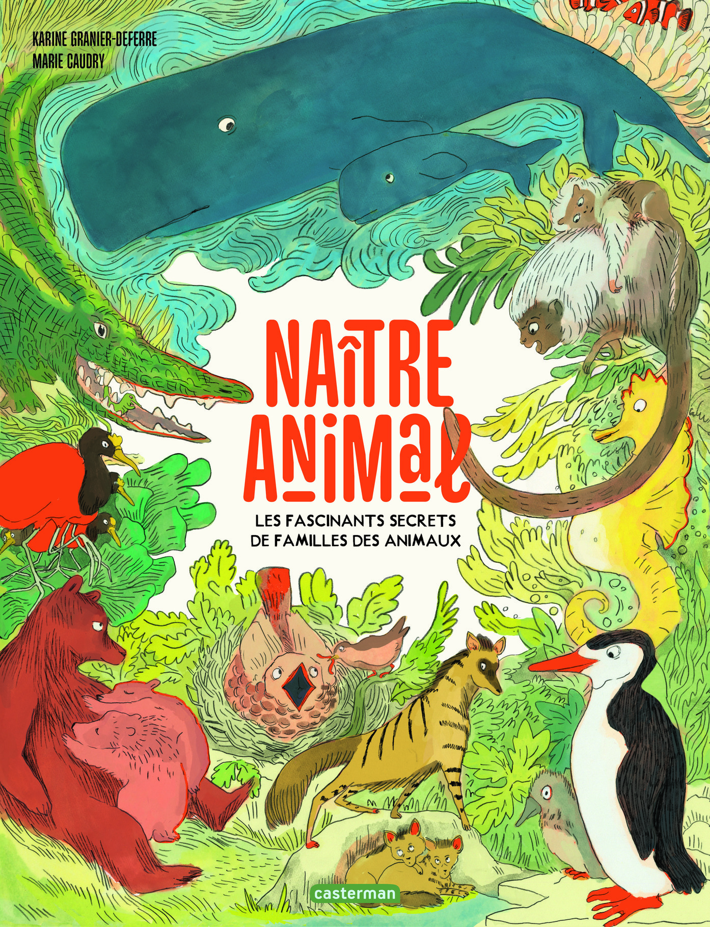 Naître animal - Karine Granier-Deferre, Marie Caudry - CASTERMAN