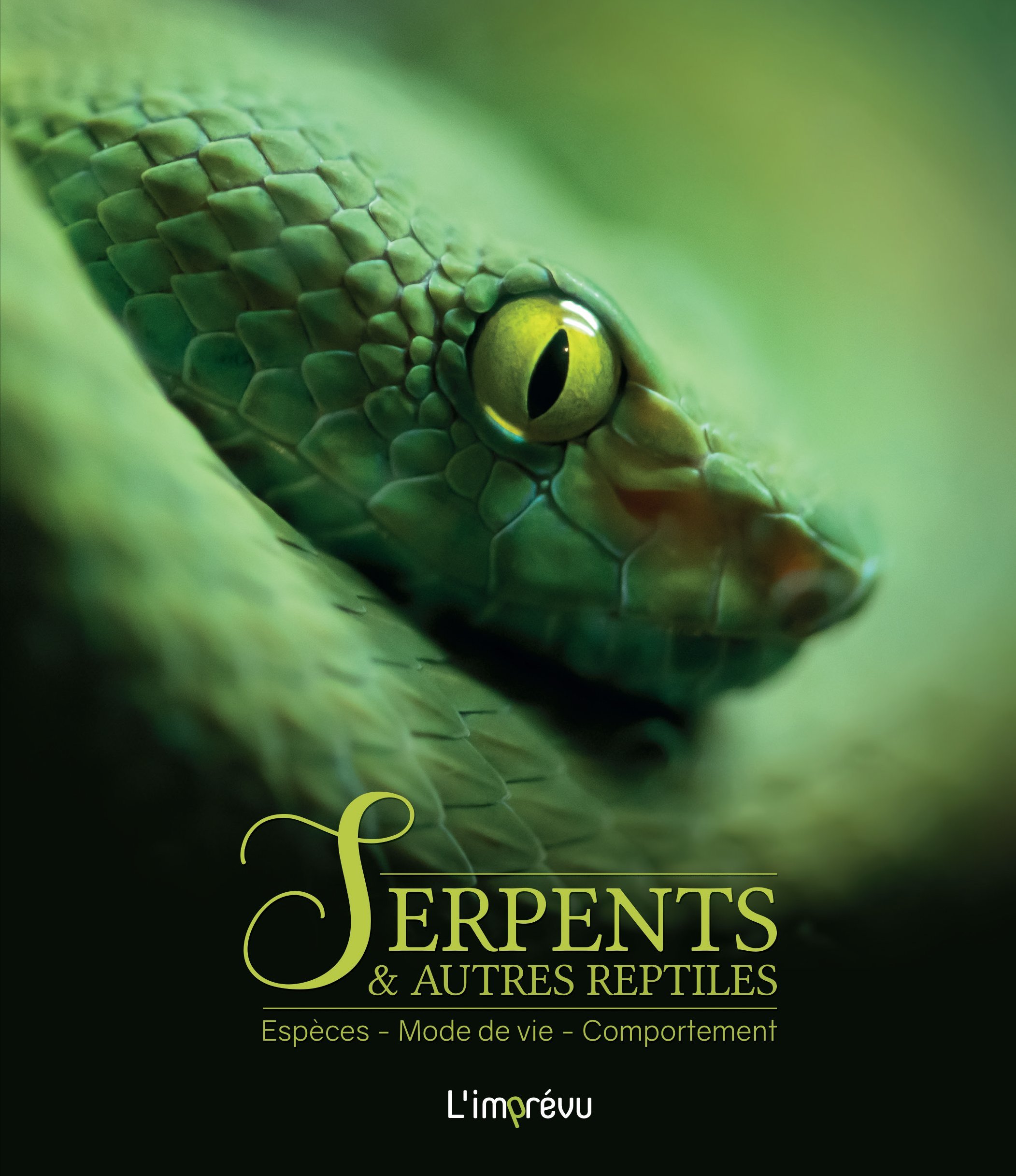 Serpents et autres reptiles - Hans-W Kothe - L IMPREVU