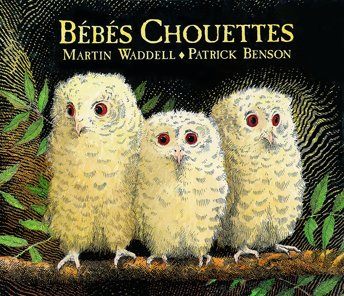 Bébés chouettes - Martin Waddell, Patrick Benson - EDL