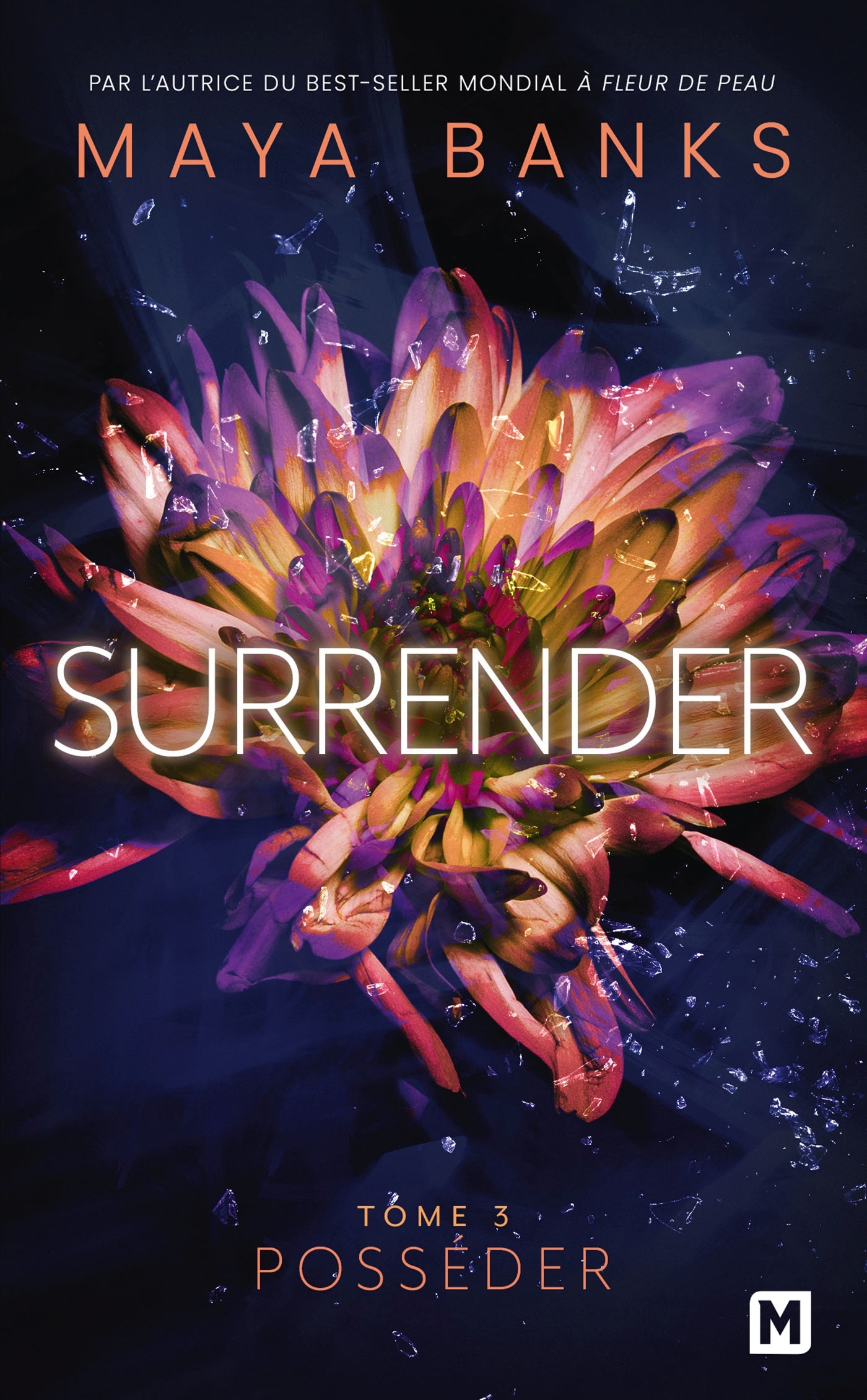 Surrender, T3 : Posséder - Maya Banks, Ana Urbic - MILADY