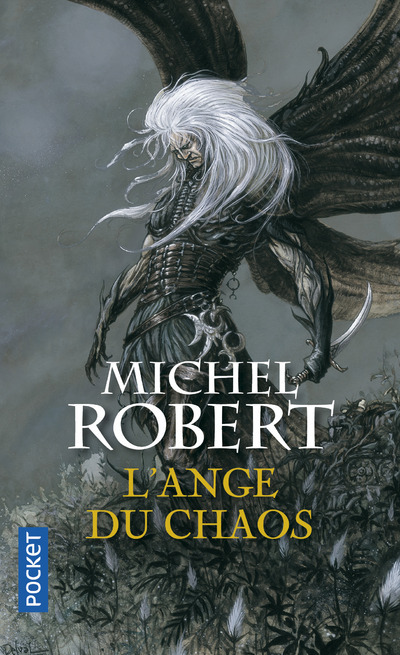 L'agent des ombres - tome 1 L'ange du chaos - Michel Robert - POCKET