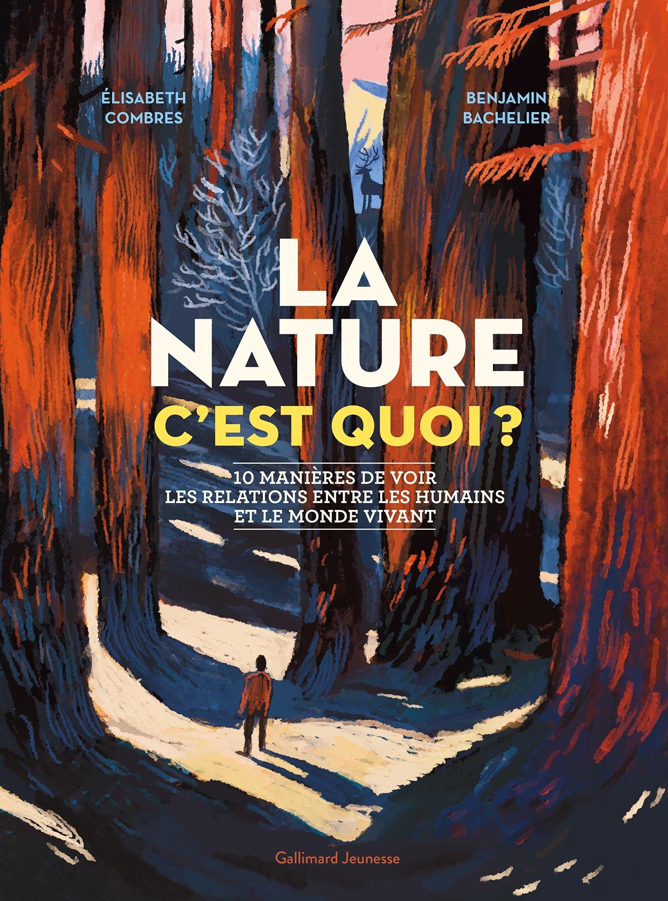 La nature c'est quoi ? - Élisabeth Combres, Benjamin Bachelier - GALLIMARD JEUNE