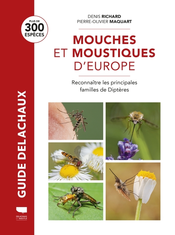 Mouches et moustiques - Denis Richard, Pierre-Olivier Maquart - DELACHAUX