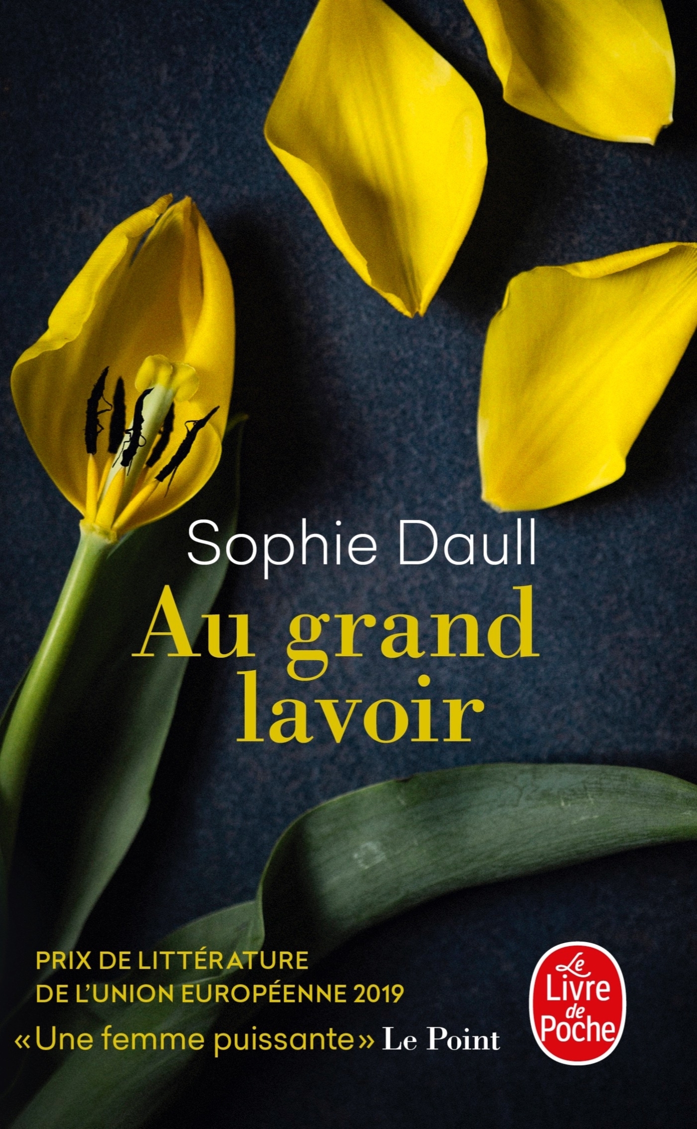 Au grand lavoir - Sophie DAULL - LGF