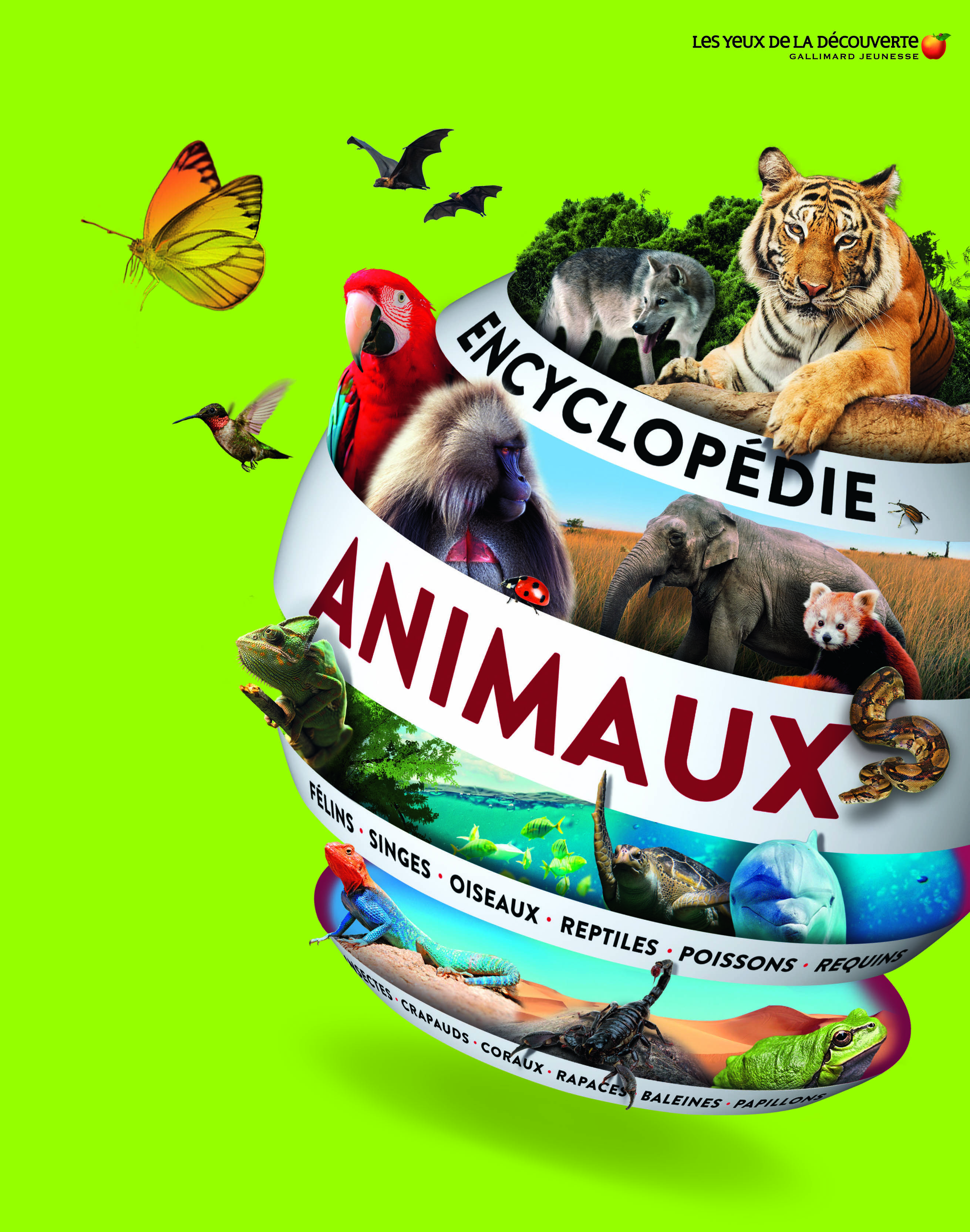 Encyclopédie des animaux -  Collectif, Marine Bellanger, Michel Langrognet - GALLIMARD JEUNE