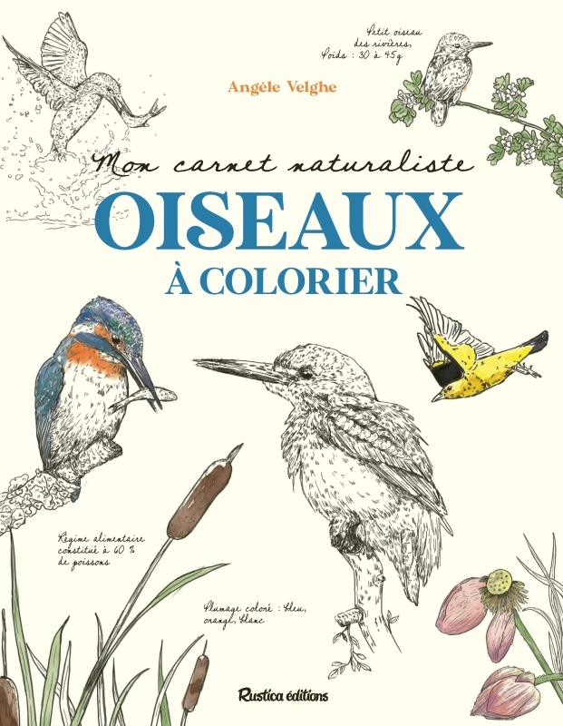 Mon carnet naturaliste Oiseaux à colorier - Angèle Velghe - RUSTICA