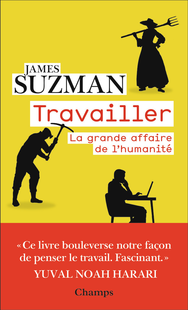 Travailler - James Suzman, Marie-Anne de Béru - FLAMMARION