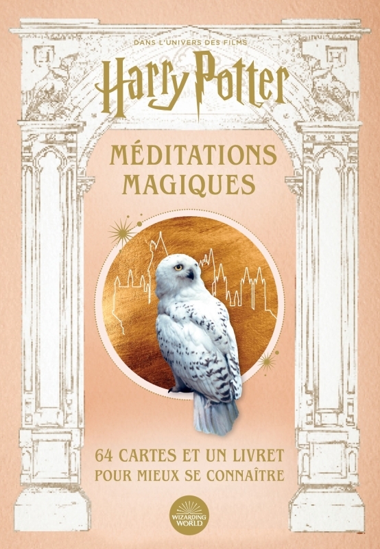 Harry Potter, méditations magiques - XXX - HUGINN MUNINN