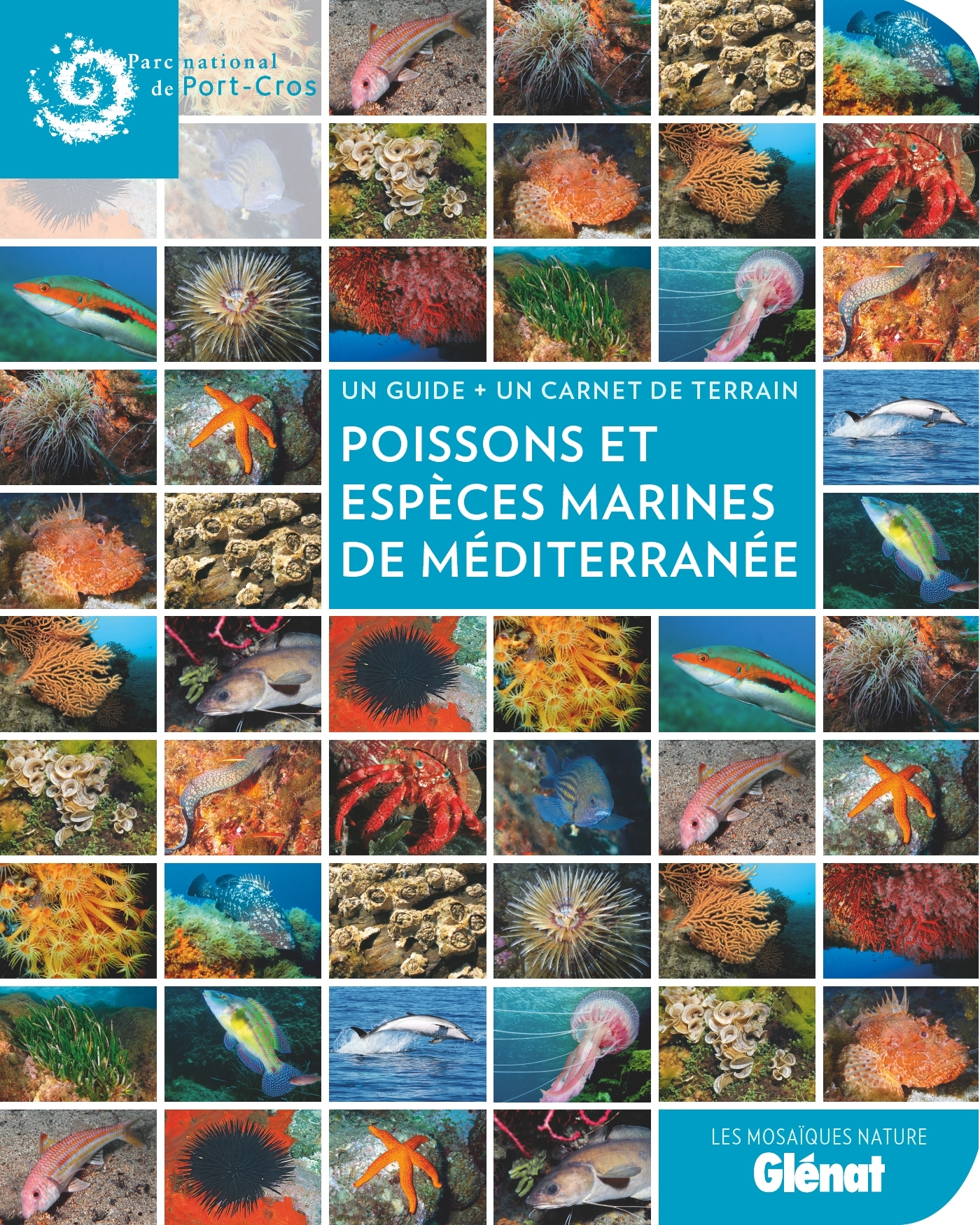 Poissons et espèces marines de Méditerranée -   - GLENAT