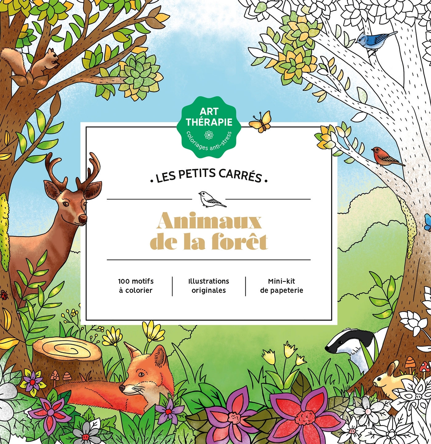 Animaux de la forêt - Caroline Aellen - HACHETTE HEROES