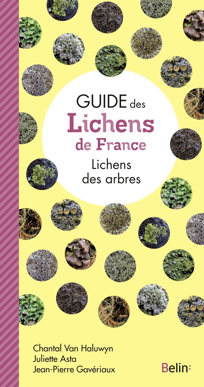 Guide des lichens de France - Jean-Pierre Gaveriaux, Juliette Asta, Chantal Van Haluwyn, Guillaume Eyssartier - BELIN