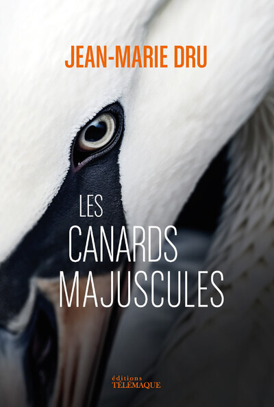 Les canards majuscules - Jean-Marie Dru - TELEMAQUE EDIT