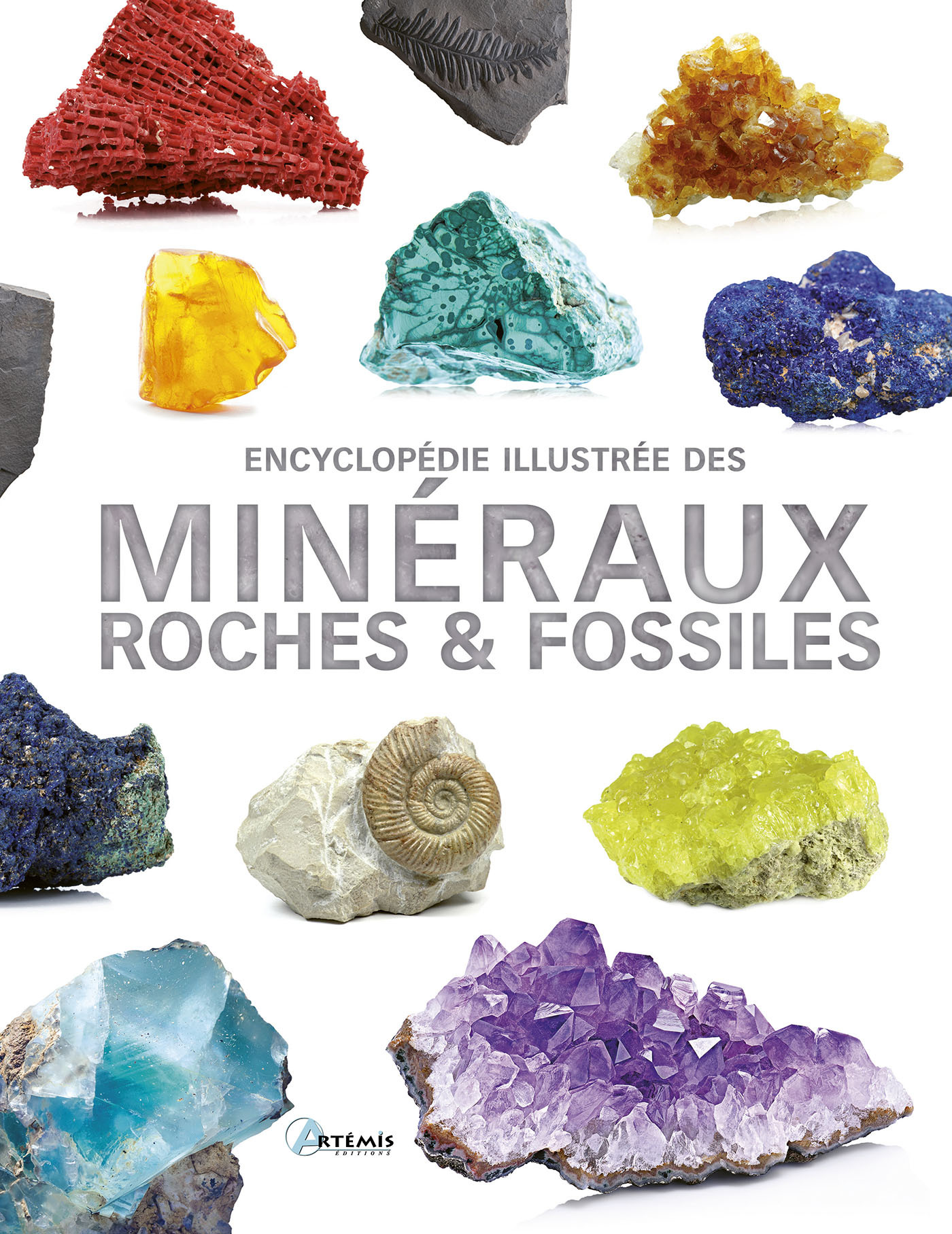 ENCYCLOPEDIE ILLUSTREE DES MINERAUX ROCHES & FOSSILES -  A. LAUDEREAU,  Martul hernandez ., Carmen Martul Hernández - ARTEMIS