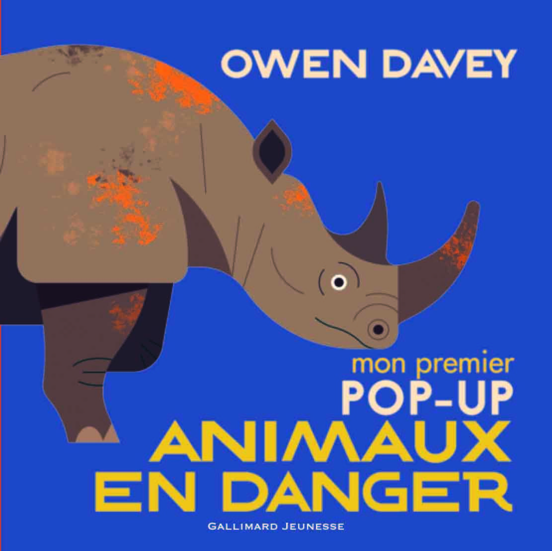 Mon premier pop-up des animaux en danger - Owen Davey - GALLIMARD JEUNE