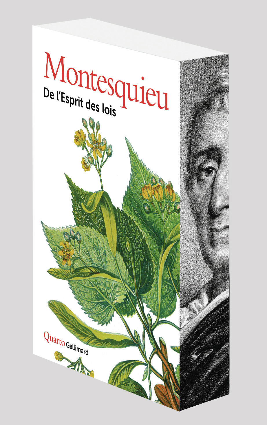 De l'Esprit des lois -  Montesquieu, Benjamin Hoffmann - GALLIMARD