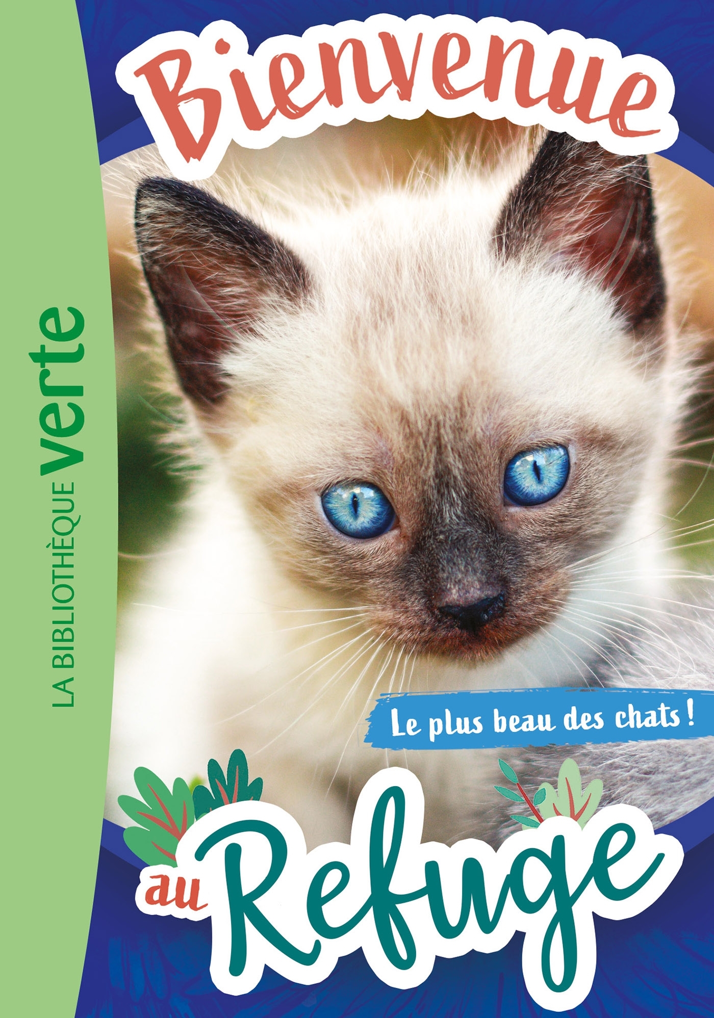 Bienvenue au refuge 09 - Le plus beau des chats ! - Hachette Livre, Pascal Ruter - HACHETTE JEUN.