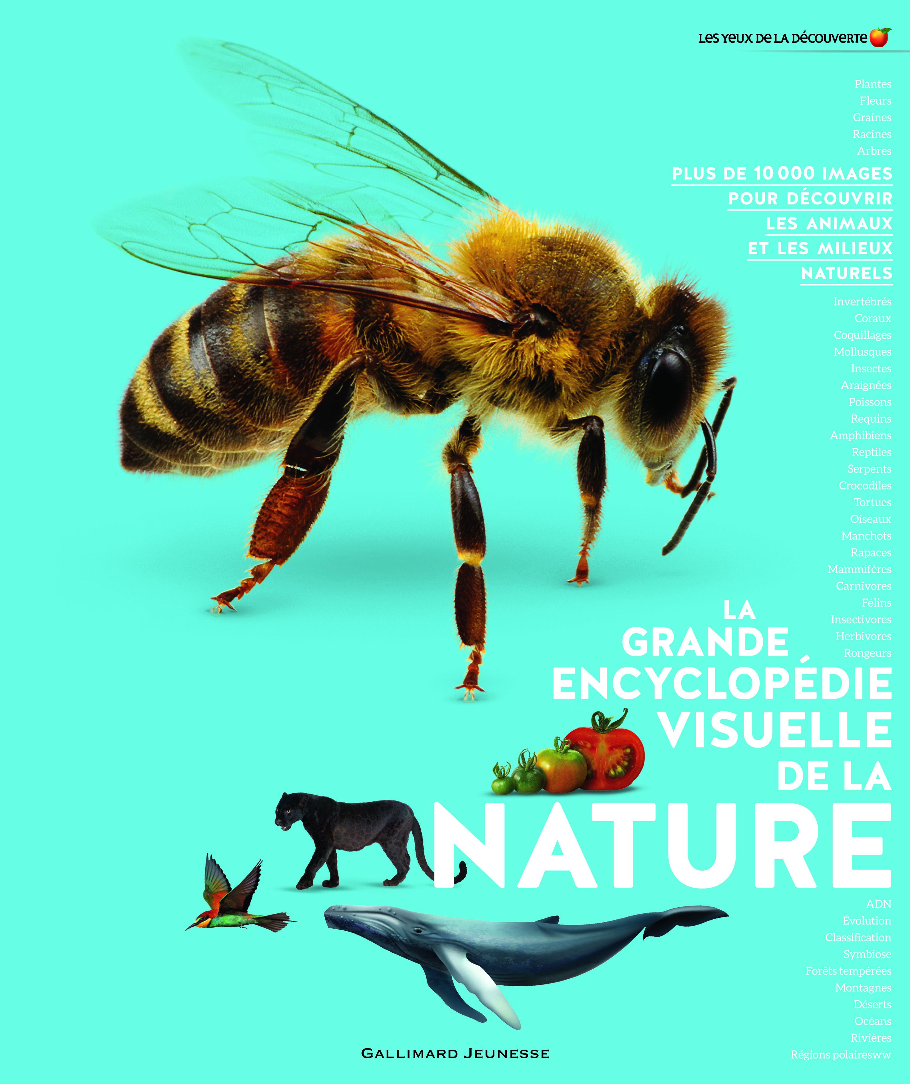 La grande encyclopédie visuelle de la nature -  Collectif, Bruno Porlier - GALLIMARD JEUNE