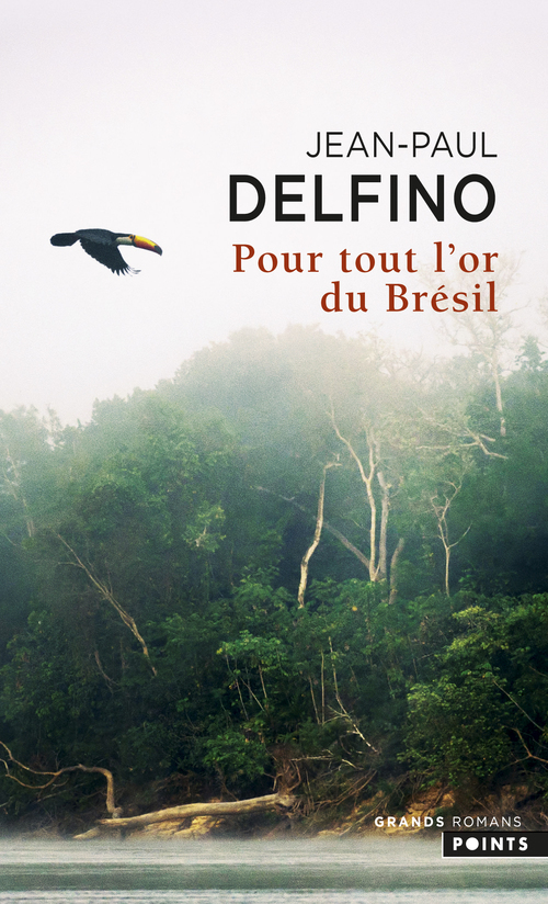 Pour tout l'or du Brésil - Jean-Paul Delfino - POINTS